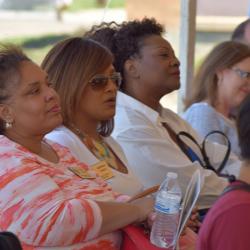 Des Plaines Gardens Demolition Ceremony Photo #56