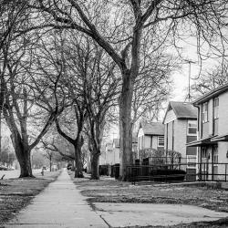 Des Plaines Gardens Past Photo #5
